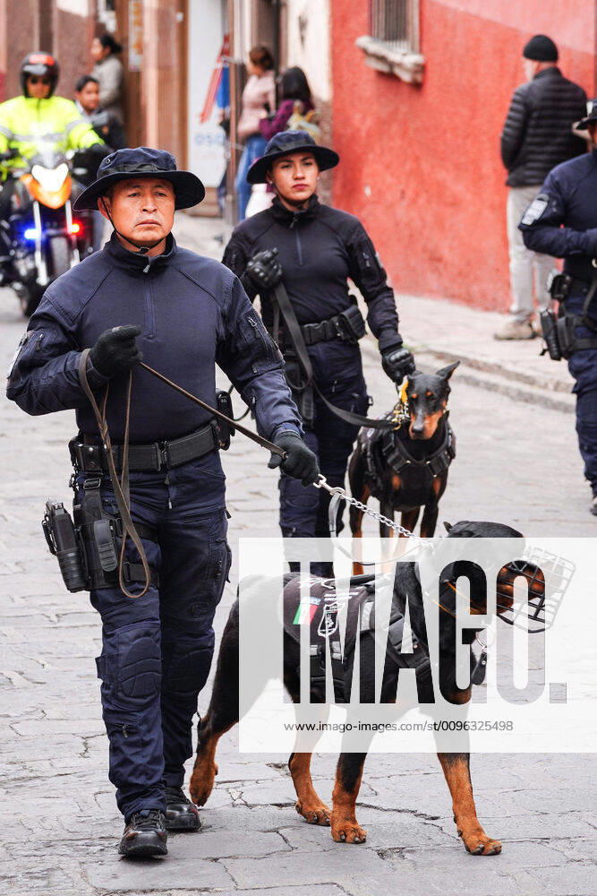 San Miguel De Allende, Guanajuato, Mexico: Mexican Military Police dog teams parade through the streets to celebrate the 251st birthday of the Mexican Independence hero Ignacio Allende January 21, 2020 in San Miguel de Allende, Guanajuato, Mexico. Allende, from a wealthy family in San Miguel played a major role in the independency war against Spain in 1810 and later honored by his home city by adding his name. San Miguel De Allende Mexico - ZUMAe02_ 20200121_zaf_e02_001