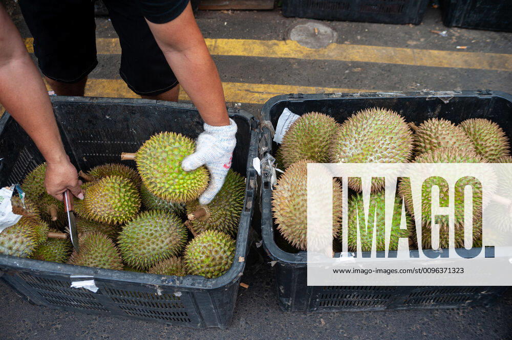 Singapore, Republic of Singapore, Asia A worker sorts boxes of fresh durian at a stall in Chinatown