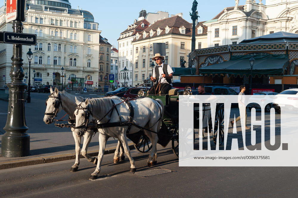 Vienna, Austria, Europe A horse-drawn carriage takes tourists around the capital during a city tour