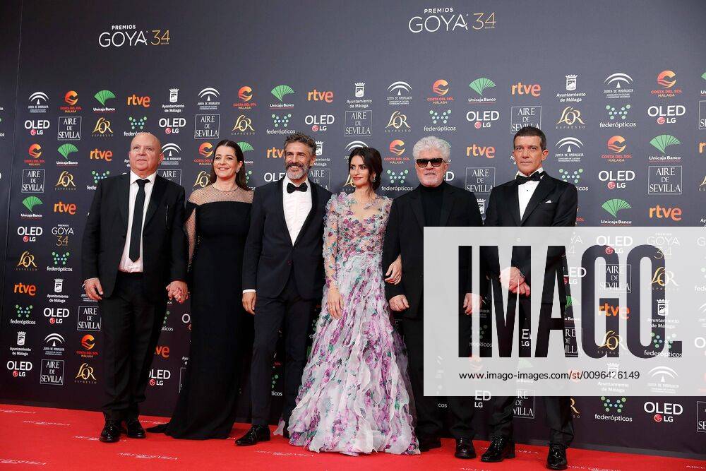Cast and filmmakers of the movie Dolor y Gloria (lit. Pain and Glory ) (L-R) Spanish actor and producer Agustin Almodovar, Spanish actress Nora Navas, Argentinean actor Leonardo Sbaraglia, Spanish actress Penelope Cruz, Spanish filmmaker and scriptwriter Pedro Almodovar and Spanish actor Antonio Banderas pose upon arrival at the 34th Goya Awards ceremony held at the Jose Maria Martin Carpena Sports Palace in Malaga, southern Spain, 25 January 2020. The awards are presented by the Spanish Film Academy. 34th Goya Awards ceremony !ACHTUNG: NUR REDAKTIONELLE NUTZUNG!