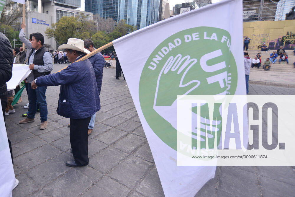 National Struggle Day protest in Mexico MEXICO CITY, MEXICO - JANUARY 31: Demonstrators take part during a march called National Struggle Day to protest for labor equality and demand labor rights and demand a job stability program during the demonstration, integrants of Union of Telephone Operators of the Mexican Republic, National Workers Union, Mexican Union of Electricians, Independent Workers Union of the Autonomous Metropolitan University participating to demand from the Federal Government a change of economic, political and social course for the country; as well as a dialogue around the Alternative Nation Project. at Reforma Avenue on January 31, 2020 in Mexico City, Mexico