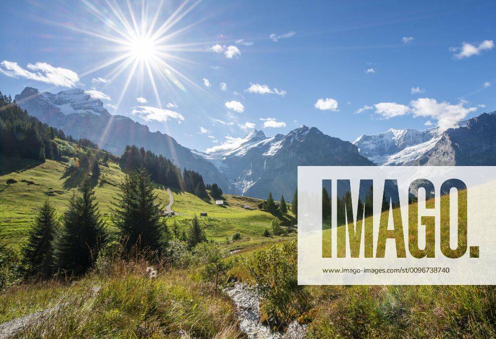 Mountain landscape in bright sunshine, behind snow-covered mountain peaks Schreckhorn, Wetterhorn and Eiger, Grindelwald, Bern, Switzerland, Europe