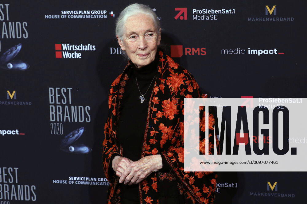Jane Goodall at the 17th presentation of the Best Brands Awards 2020 at the Hotel Bayerischer Hof Munich, 19 02 2020 Foto:xA.xFuturexImage