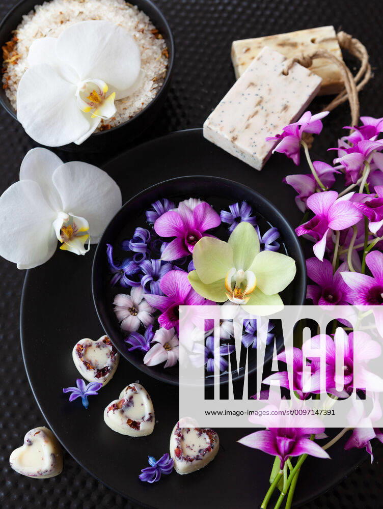 Colourful hyacinths and orchids on dark background 1079706003