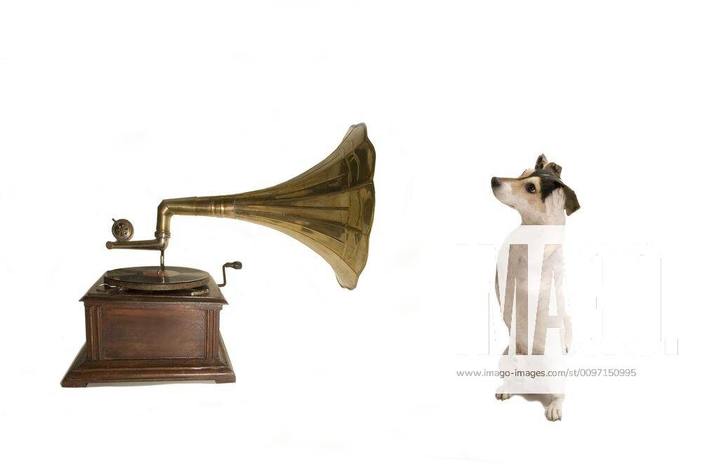Jack Russell with gramophone, parody on His Masters voice , Berlin, Germany, Europe