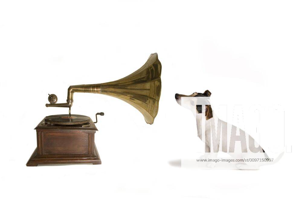Jack Russell with gramophone, parody on His Masters voice , Berlin, Germany, Europe