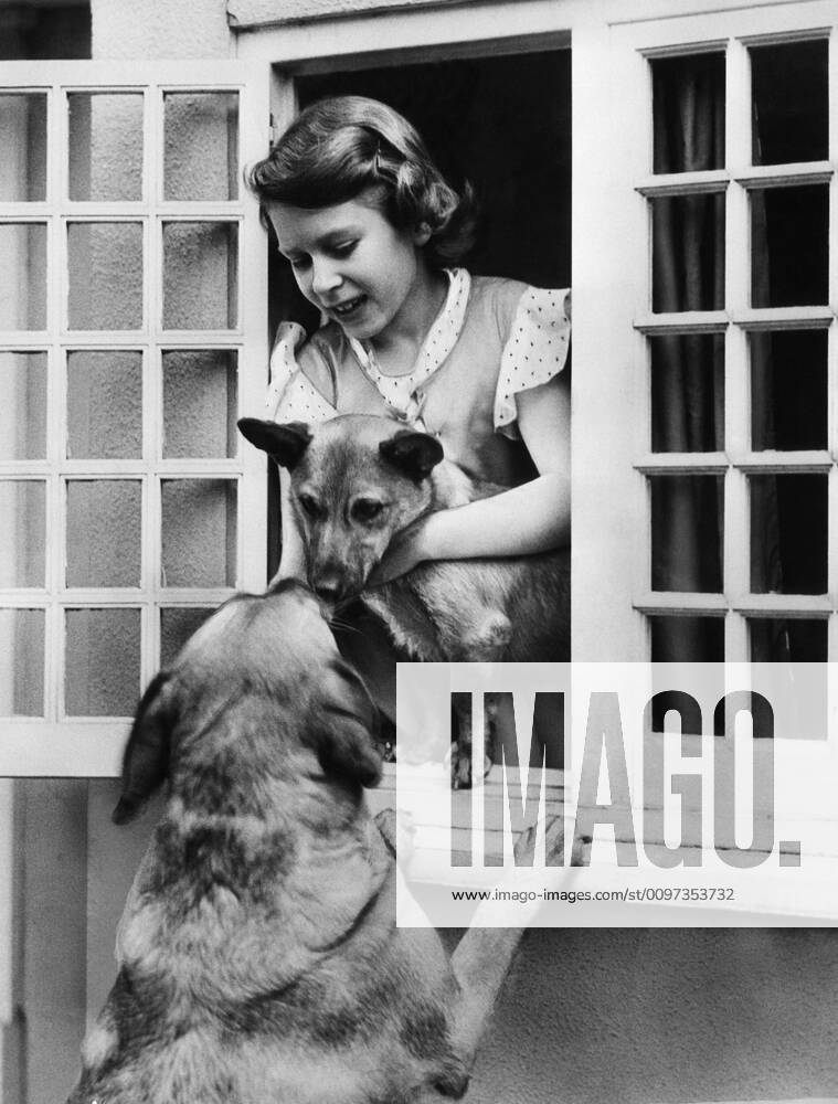 British Royalty. Future Queen of England Princess Elizabeth with pet German Shepherds, circa 1936. Courtesy Everett Collection PUBLICATIONXNOTxINxCANxCHNxFRAxITAxJPNxNORxPOLxRUSxESPxUKxUSA