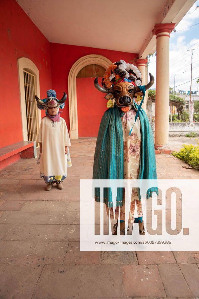 People from Almolonga Veracruz, celebrate their carnival dressed in their traditional bull masks. This carnival is one of the oldest in the region and dates back to the time when African slaves revealed themselves against Europeans in these lands. Almolonga Mexico - ZUMAqp1_ 20200229_zip_qp1_001