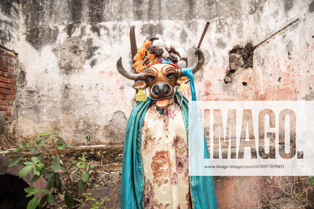 People from Almolonga Veracruz, celebrate their carnival dressed in their traditional bull masks. This carnival is one of the oldest in the region and dates back to the time when African slaves revealed themselves against Europeans in these lands. Almolonga Mexico - ZUMAqp1_ 20200229_zip_qp1_005
