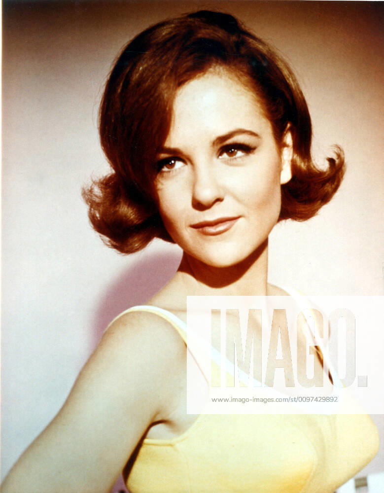 GIRL HAPPY, Shelley Fabares, 1965 PUBLICATIONXNOTxINxCANxCHNxFRAxITAxJPNxNORxPOLxRUSxESPxUKxUSA