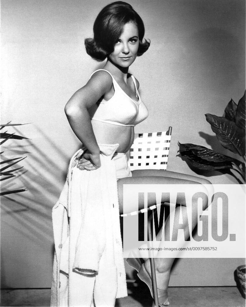 GIRL HAPPY, Shelley Fabares, 1965 PUBLICATIONXNOTxINxCANxCHNxFRAxITAxJPNxNORxPOLxRUSxESPxUKxUSA
