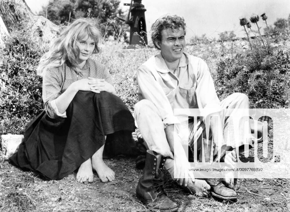 DAS TOTENSCHIFF, (aka SHIP OF THE DEAD, aka THE NAKED AND THE BRAVE), from left, Elke Sommer, Horst Buchholz, 1959 Courtesy Everett Collection !ACHTUNG AUFNAHMEDATUM GESCHÃ„TZT! PUBLICATIONXNOTxINxCANxCHNxFRAxITAxJPNxNORxPOLxRUSxESPxUKxUSA