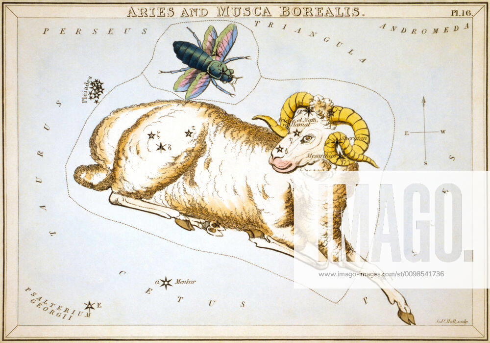 Uranias Mirror Aries and Musca Borealis, Aries and Northern Fly, sky map from the series Uranias Mirror, A View of the Heavens, engraving by Sidney Hall, first published in 1824
