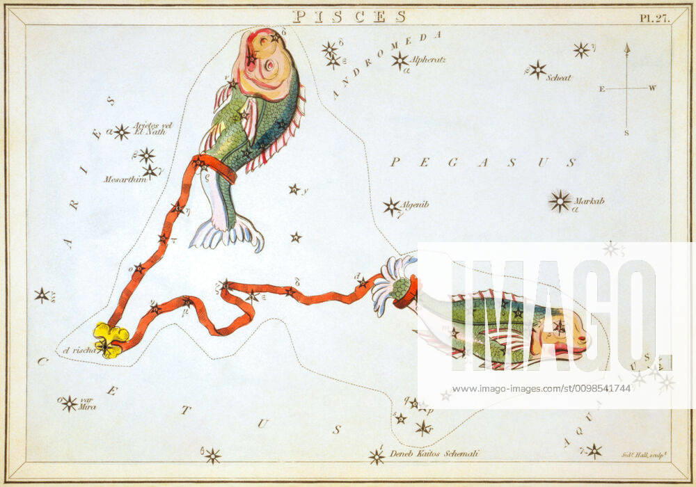 Uranias Mirror Pisces, Pisces, sky map from the series Uranias Mirror, A View of the Heavens, engraving by Sidney Hall, first published in 1824
