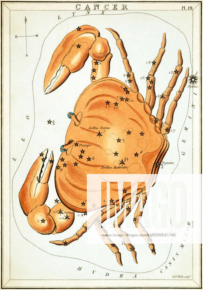 Uranias Mirror Cancer, Cancer, sky map from the series Uranias Mirror, A View of the Heavens, engraving by Sidney Hall, first published in 1824