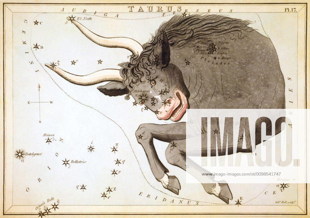Uranias Mirror Taurus, Taurus, sky map from the series Uranias Mirror, A View of the Heavens, engraved by Sidney Hall, first published in 1824