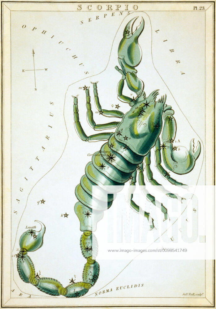 Uranias Mirror Scorpio, Scorpio, sky map from the series Uranias Mirror, A View of the Heavens, engraving by Sidney Hall, first published in 1824