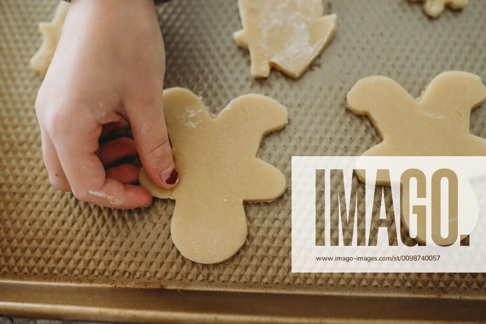 Young girl placing gingerbread on baking sheet Massapequa, NY, United States ,model released, Symbolfoto CR_ERBU200304-318445-01
