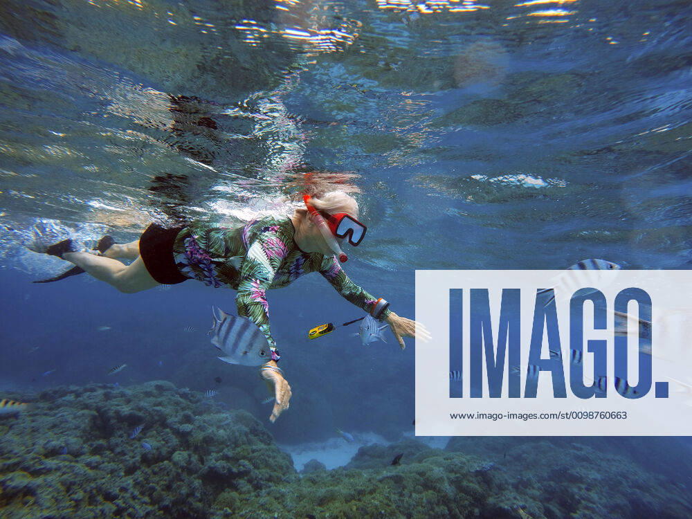Snorkeling excursion in the shallow waters of the Bora Bora lagoon, Moorea, French Polynesia, Society Islands, South Pacific. Cook s Bay. French Polynesia France