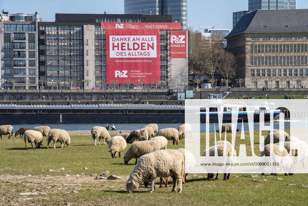 A construction company has hung a large poster on the Rhine promenade, with thanks to the heroes of everyday life, on the facade of a house, Düsseldorf on the Rhine, during the corona crisis, effects of the corona crisis in Germany,