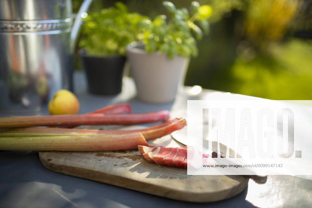 Board with knife and rhubarb on a ridge table Bonn Germany