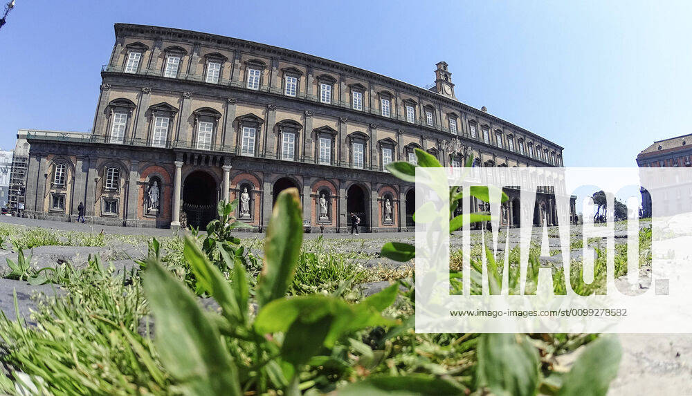 The grass grows in the cracks in the pavement of Plebiscito square in front of the Royal Paace, in the city center, after a month of lockdown. In Italy the lockdown still continue Government Decree declaring all of Italy a protected area to combat covid-19 - coronavirus infection, closing schools, public offices and shops.