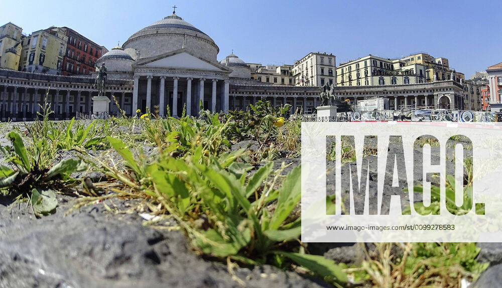 The grass grows in the cracks in the pavement of Plebiscito Square in front of Saint Francesco Da Paola Church, in the city center, after a month of lockdown. In Italy the lockdown still continue Government Decree declaring all of Italy a protected area to combat covid-19 - coronavirus infection, closing schools, public offices and shops.