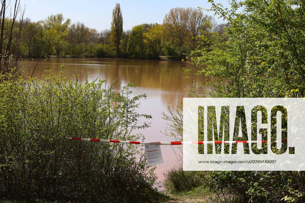 Hanover, 17 04 2020, Bathing ban in the Ricklinger Siebenmeterteich due to increased occurrence of blue-green algae, humans and dogs are not allowed to bathe in affected water,