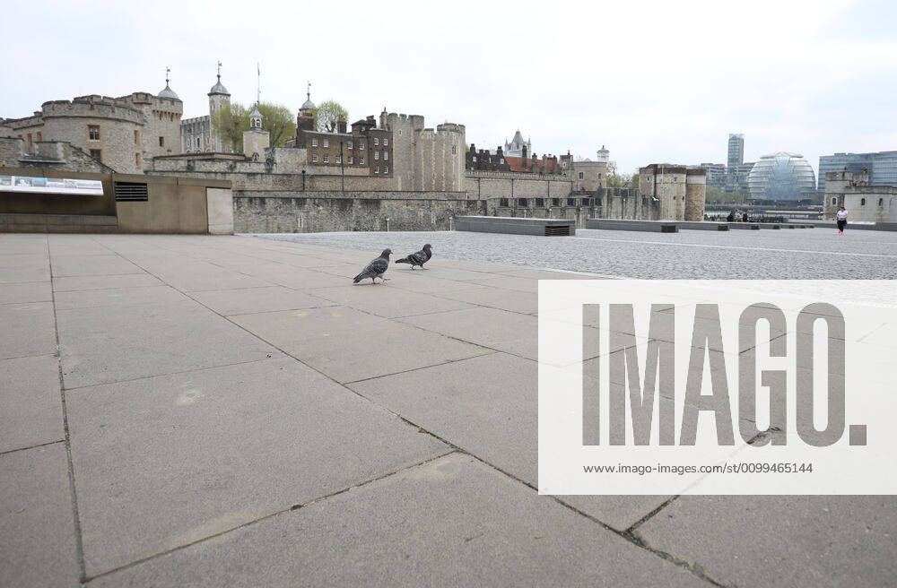 Day Twenty Six of Lockdown in London. Apart from a couple of pigeons and a handful of people, The Tower of London is deserted on a very quiet central London for a Saturday as the country is on lockdown due to the COVID-19 Coronavirus pandemic. People are not allowed to leave home except for minimal food shopping, medical treatment, exercise - once a day, and essential work. COVID-19 Coronavirus lockdown, London, UK, on April 18, 2020