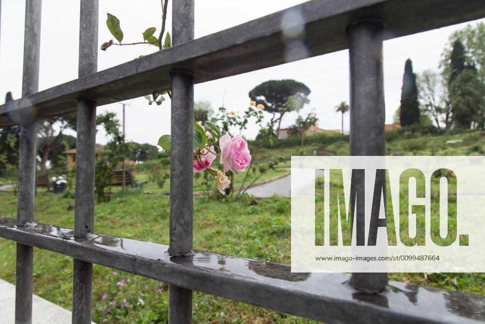 Rome: Municipal Rose Garden closed for Covid-19 Tomorrow, April 21, 2020, on the occasion of the 2773th birthday of the city of Rome, due to the lockdown for Covid-19 pandemic, the municipal rose garden will remain closed to the public. Roma Italy