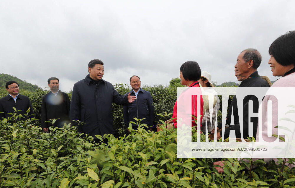 (200421) -- ANKANG, April 21, 2020 -- Chinese President Xi Jinping, also general secretary of the Communist Party of China Central Committee and chairman of the Central Military Commission, inspects poverty alleviation work in a tea farm of Laoxian Township, Pingli County of the city of Ankang, northwest China s Shaanxi Province, April 21, 2020. ) CHINA-SHAANXI-XI JINPING-INSPECTION (CN) JuxPeng