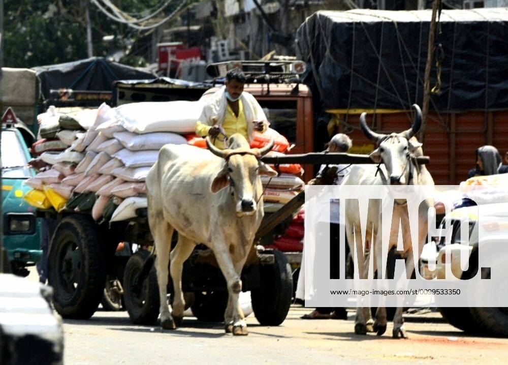Bullock cart laden with essentials seen at Nai Bazar area during lockdown on April 21, 2020 in New Delhi, India. (Photo by Sonu Mehta Hindustan Times) Nationwide Lockdown In India To Curb Spread Of Coronavirus Covid-19 Pandemic