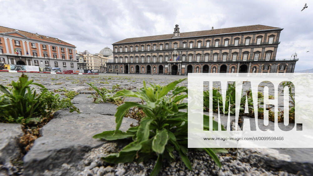The grass grows in the cracks in the pavement of Plebiscito square in front of the Royal Palace, in the city center, after a month of lockdown. In Italy the lockdown still continue Government Decree declaring all of Italy a protected area to combat covid-19 - coronavirus infection, closing schools, public offices and shops.