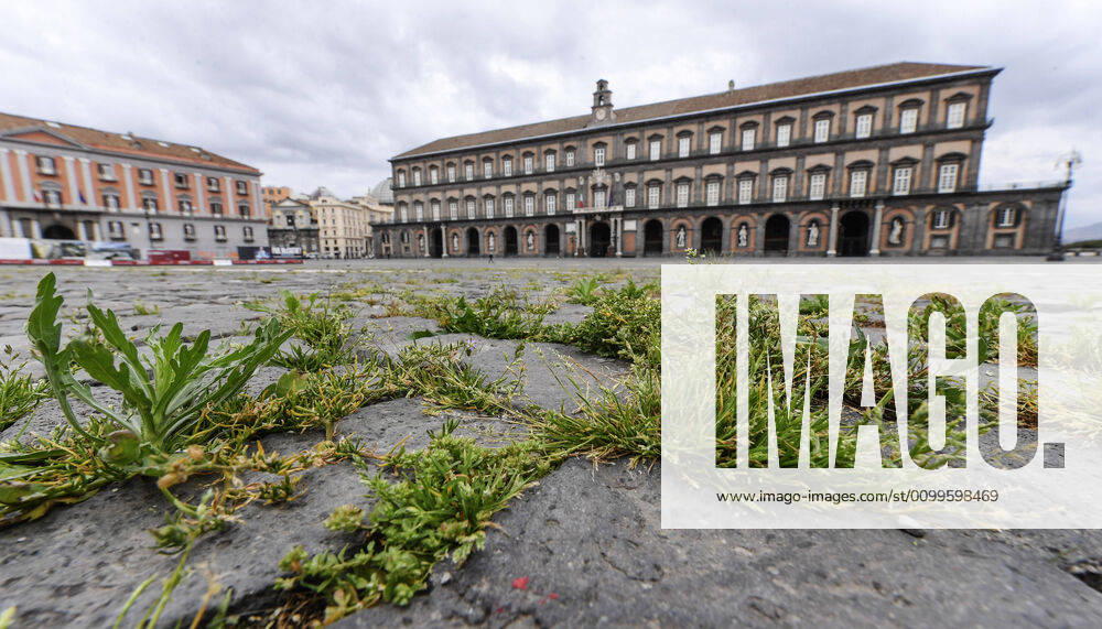 The grass grows in the cracks in the pavement of Plebiscito square in front of the Royal Palace, in the city center, after a month of lockdown. In Italy the lockdown still continue Government Decree declaring all of Italy a protected area to combat covid-19 - coronavirus infection, closing schools, public offices and shops.