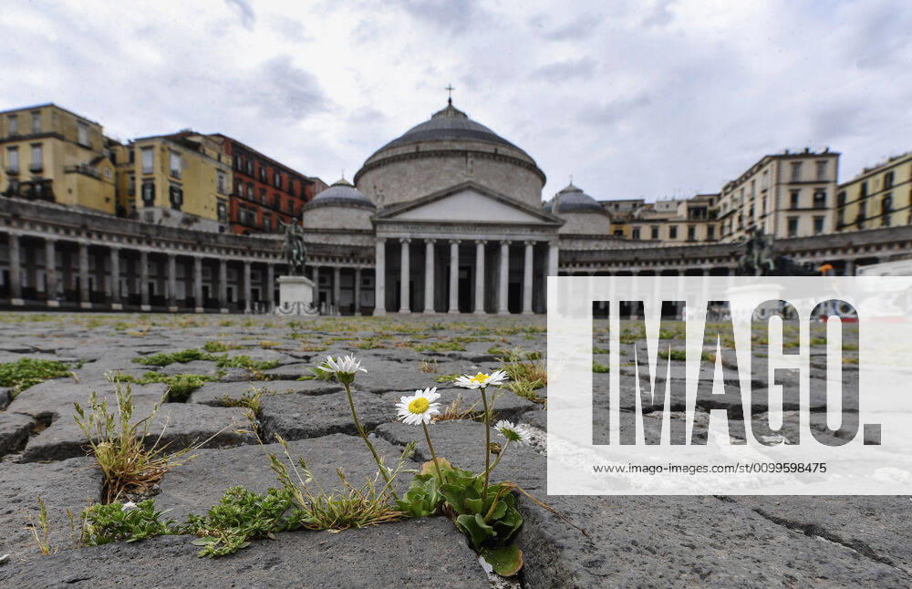 The grass grows in the cracks in the pavement of Plebiscito Square in front of Saint Francesco Da Paola Church, in the city center, after a month of lockdown. In Italy the lockdown still continue Government Decree declaring all of Italy a protected area to combat covid-19 - coronavirus infection, closing schools, public offices and shops.