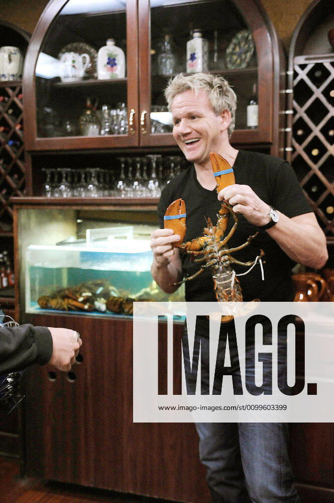 KITCHEN NIGHTMARES, chef Gordon Ramsay, Spanish Pavillion , (Season 4, ep. 401, aired Jan. 21, 2011), 2007-. photo: Jeff Neira TM and Copyright 20th Century Fox Film Corp. All rights reserved, Courtesy: Everett Collection 20thCentFox Courtesy Everett Collection !ACHTUNG AUFNAHMEDATUM GESCHÄTZT! PUBLICATIONXNOTxINxCANxCHNxFRAxITAxJPNxNORxPOLxRUSxESPxUKxUSA
