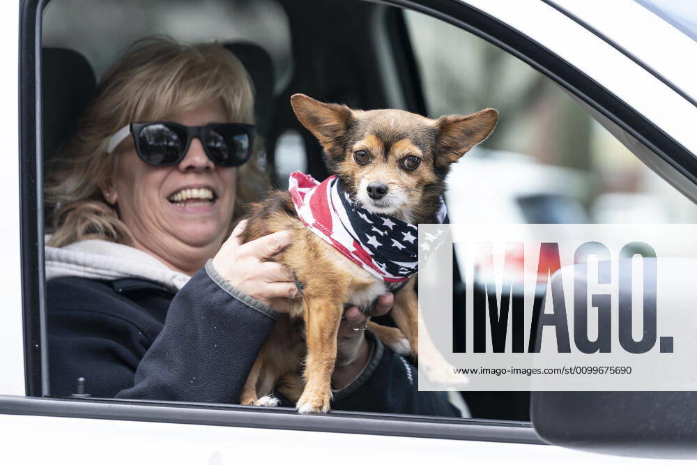 NY: Operation Gridlock in Albany Woman with dog in American flag bandana participates in Operation Gridlock protest outside of New York State Capitol Building. Participants demanded reopening of New York State. Many people on the street disregarded wearing facial masks and keep social distances. Albany New York United States