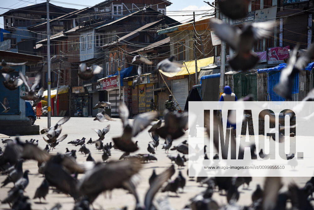 Pigeons take off as a resident passed through them during the nationwide lockdown..India s Health Ministry has so far recorded a total 23,452 infections, death 272 and recovered 4,814 cases since the beginning of the corona virus outbreak. Srinagar India - ZUMAs197 20200424_zaa_s197_037