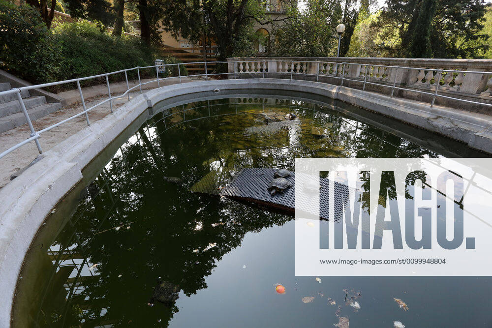 About 30 water turtles live in a fountain pound 25.04.2020., Croatia, Rijeka - About 30 water turtles live in a fountain pound that is part of the Vidikovac water reservoir at the City Water Supply on Boulevard. GoranxKovacic PIXSELL