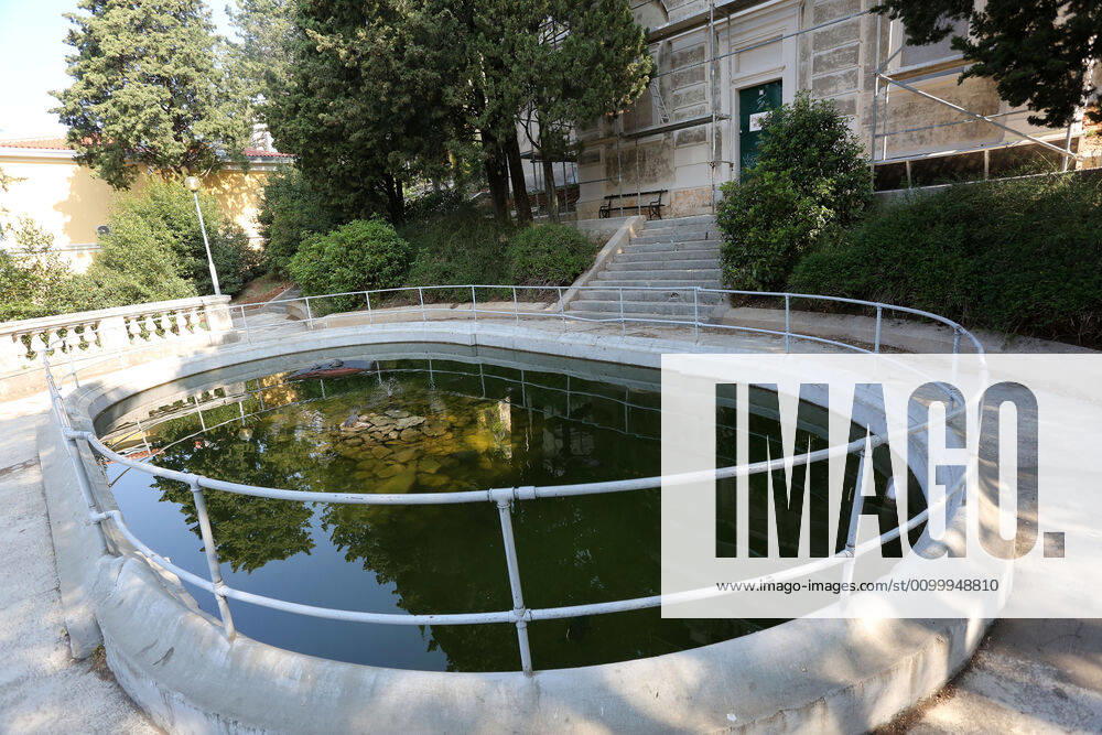 About 30 water turtles live in a fountain pound 25.04.2020., Croatia, Rijeka - About 30 water turtles live in a fountain pound that is part of the Vidikovac water reservoir at the City Water Supply on Boulevard. GoranxKovacic PIXSELL