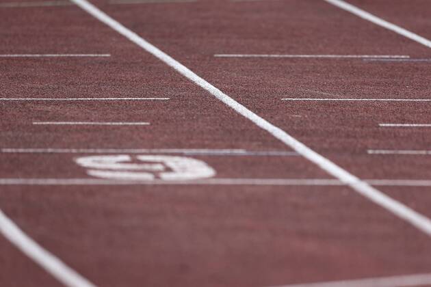 Impressionen , 36. IDM Leichtathletik am 22.06.2014 im Friedrich-Ludwig-Jahn Sportpark in Berlin Deutschland. 36. IDM Leichtathletik Berlin, 22.06.2014 xakx