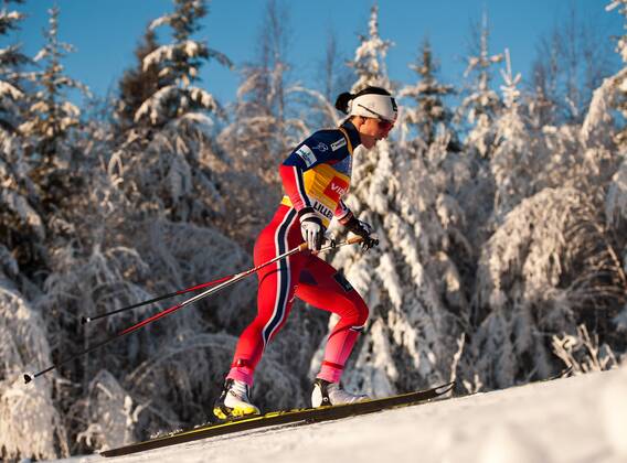 Aktuell Langlauf, Weltcup in Lillehammer, 5km der Damen Marit BJOERGEN (NOR) Skilanglauf, 5km Freistil der Frauen am 06.12.2014 -- Wintersport FIS Ski Nordisch Weltcup, Saison 2014 2015 in Lillehammer, Norwegen,