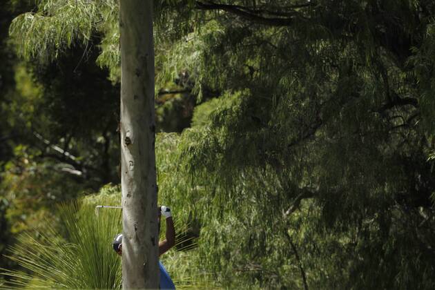 February 18th 2017, Lake Karrinyup Country Club, Perth, Western Australia, Australia; ISPS Handa World Super 6 Perth Golf Tournament Day 3 SS.P Chawrasia (IND) plays out of the rough on the 4th fairway during his round on day 3 xDavidxWoodleyx  ActionPlus11847404