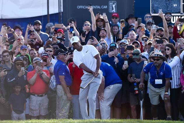 January 27, 2018 - San Diego, California, United States - Tiger Woods chips on to the 8th green during the third round of the 2018 Farmers Insurance Open at Torrey Pines GC. Golf 2018: Farmers Insurance Open - Round 3 - ZUMAw109 20180127_zap_w109_093 Copyright: xDebbyxWongx