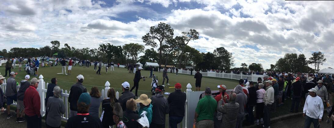 March 8, 2018 - Palm Harbor, Florida, U.S. - Tiger Woods is on the practice green at the Valspar Championship 3 8 2018. He tees off for the first round at 12:46. Florida News - March 8, 2018 - ZUMAs70_ 82202895st Copyright: xJimxDamaskex