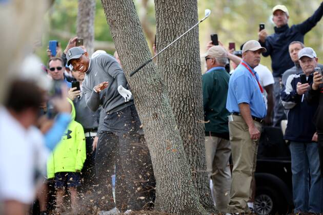 March 8, 2018 - Palm Harbor, Florida, U.S. - DOUGLAS R. CLIFFORD Times .Tiger Woods uses an iron to escape an oak tree at the 16th hole while playing the Copperhead Course on Thursday (3 8 18) during the first round of the Valspar Championship at the Innisbrook Golf and Spa Resort in Palm Harbor. Florida News - March 8, 2018 - ZUMAs70_ 82206838st Copyright: xDouglasxR.xCliffordx