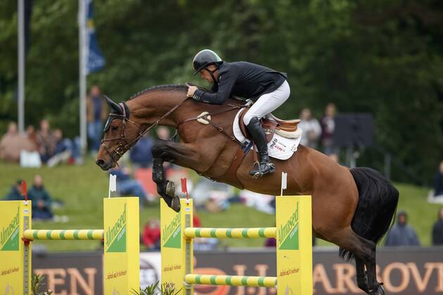 Hamburg 89 German Spring and Dressage Derby 2018 BREEN Shane IRL Can Ya Makan Hamburg 89 German Spring and Dressage Derby 2018 Mezedes Benz Champion of Hamburg Global Champions League Ranking 10 May 2018