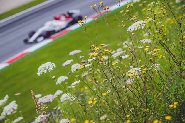 30 06 2018 Red Bull Ring Spielberg AUT FIA Formula 1 Grand Prix of Austria Training im Bild Marcus Ericsson SWE Sauber Swedish Formula One driver Marcus Ericsson Sauber during training of the Austrian FIA Formula One Grand Prix at the Red Bull Ring in Spielberg Spielberg  EP_ang