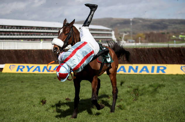 Bilder des Jahres 2020, Sport 03 März Sport Themen der Woche KW11 Sport Bilder des Tages 2020 Cheltenham Festival, Prestbury Park, Cheltenham, England 12 3 2020 Marsh Novices Chase Gavin Sheehan falls from Itchy Feet Gavin Sheehan falls from Itchy Feet 12 3 2020  Copyright: x INPHO DanxSheridanx DAN12733