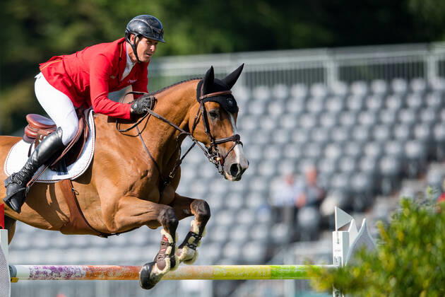 Pferdesport, Mannschafts-Vize-Euorpameister Springpferd C Vier 2 gestorben
